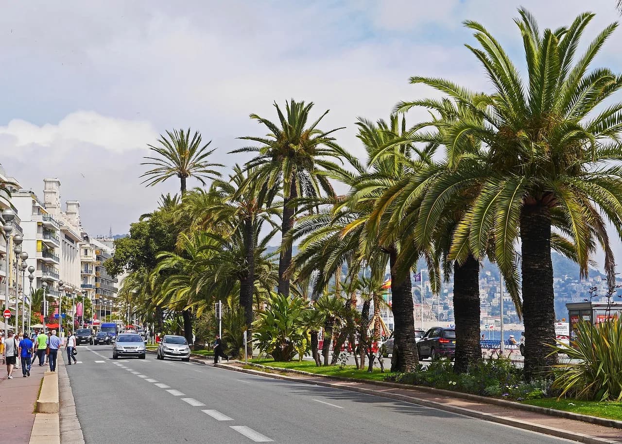 A seafront boulevard in Nice lined with tall palm trees, hotels on the left and the sea beyond.